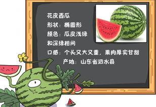 糊涂吃瓜小说免费阅读,穿越古代的甜蜜误会